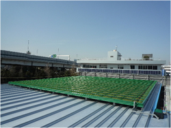 清掃センター 折板屋根緑化