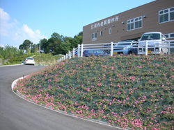 法面施工事例・株式会社河内金属製作所様1