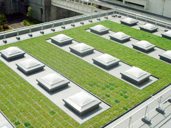 VUS施工事例2