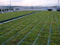 VUS工場折板屋根