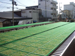 VUS駐輪場屋根