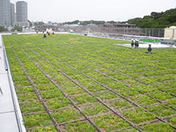 東京都・折板屋根