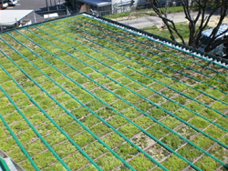 VUS施工事例 折板屋根施工例(施工後)