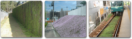 その他さまざまな緑化例