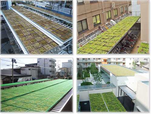 駐輪場緑化の施工事例写真
