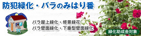 防犯緑化・バラのみはり番