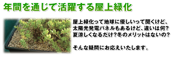 年間を通じて活躍する屋上緑化