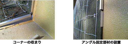 樹種:ヘデラヘリックス 施工3ヶ月